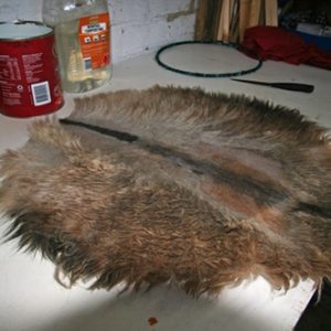 hairy pievce of goat skin cut in a circle, sitting on bench top